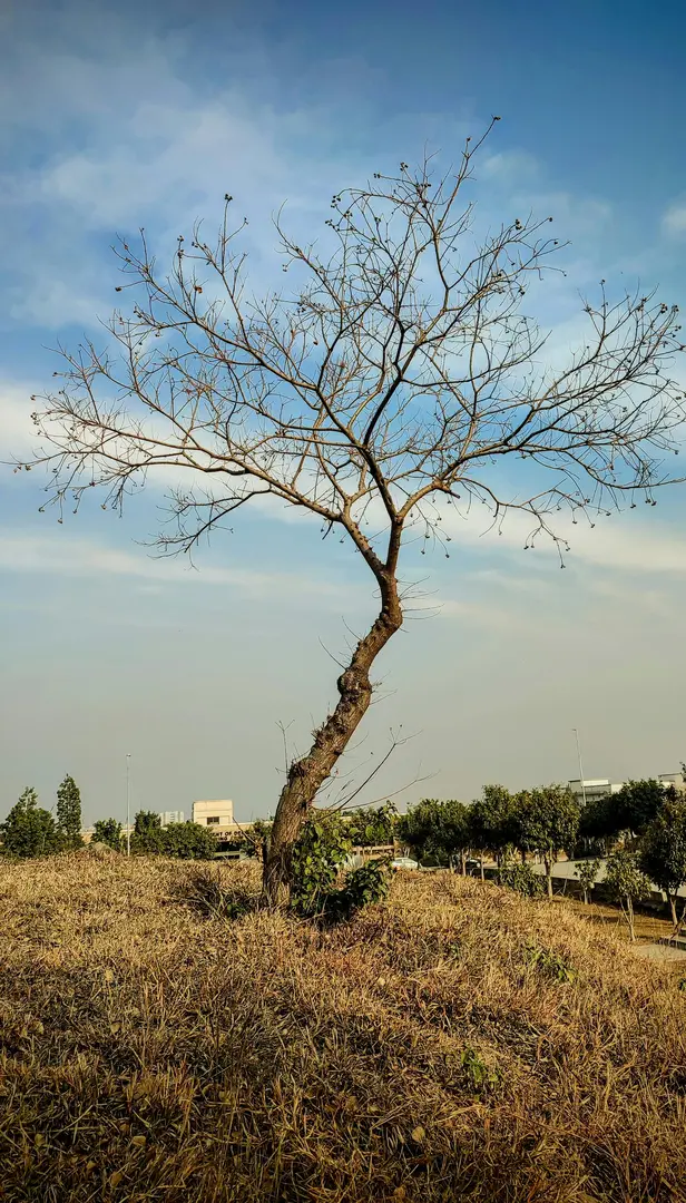 Asia Faces the Brunt of Climate Change and Extreme Weather in 2023