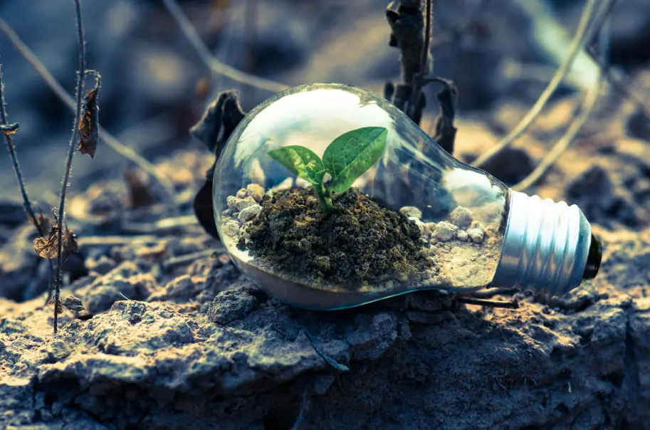 2019: A Year of Bold Predictions and Global Transformations